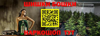 apvp Гатчина